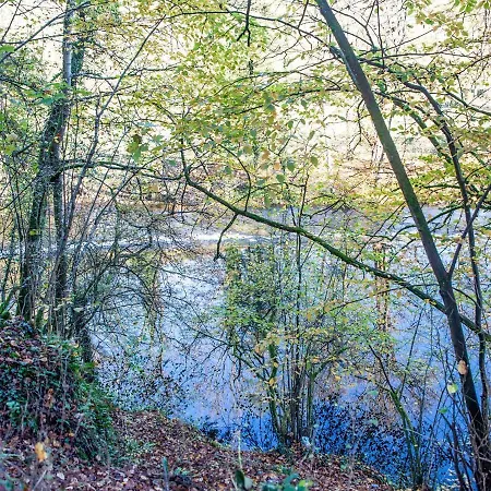 Charming Holiday In Near Forest *